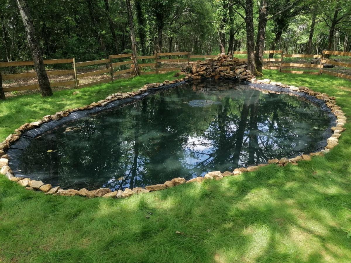 7-Gite-7 Personnes Au Coeur De La Nature /Piscine Saint-Aubin-de-Nabirat Dış mekan fotoğraf